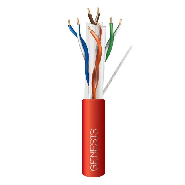 Genesis  50922104
