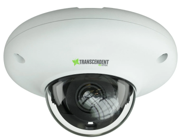 Vitek  VTD-TNMD4RFA4-2 | Esentia Systems